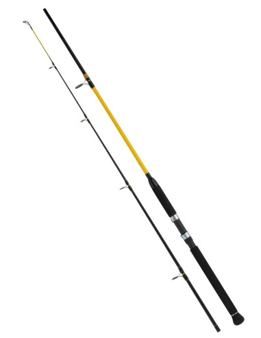 WFT Never Crack Big Fish 2,70m 150-700g