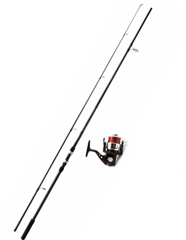 Mitchell GT Pro Carp Combo Carpa Caña + Carrete12ft/3,60m 3,00lb  GTP-60FD