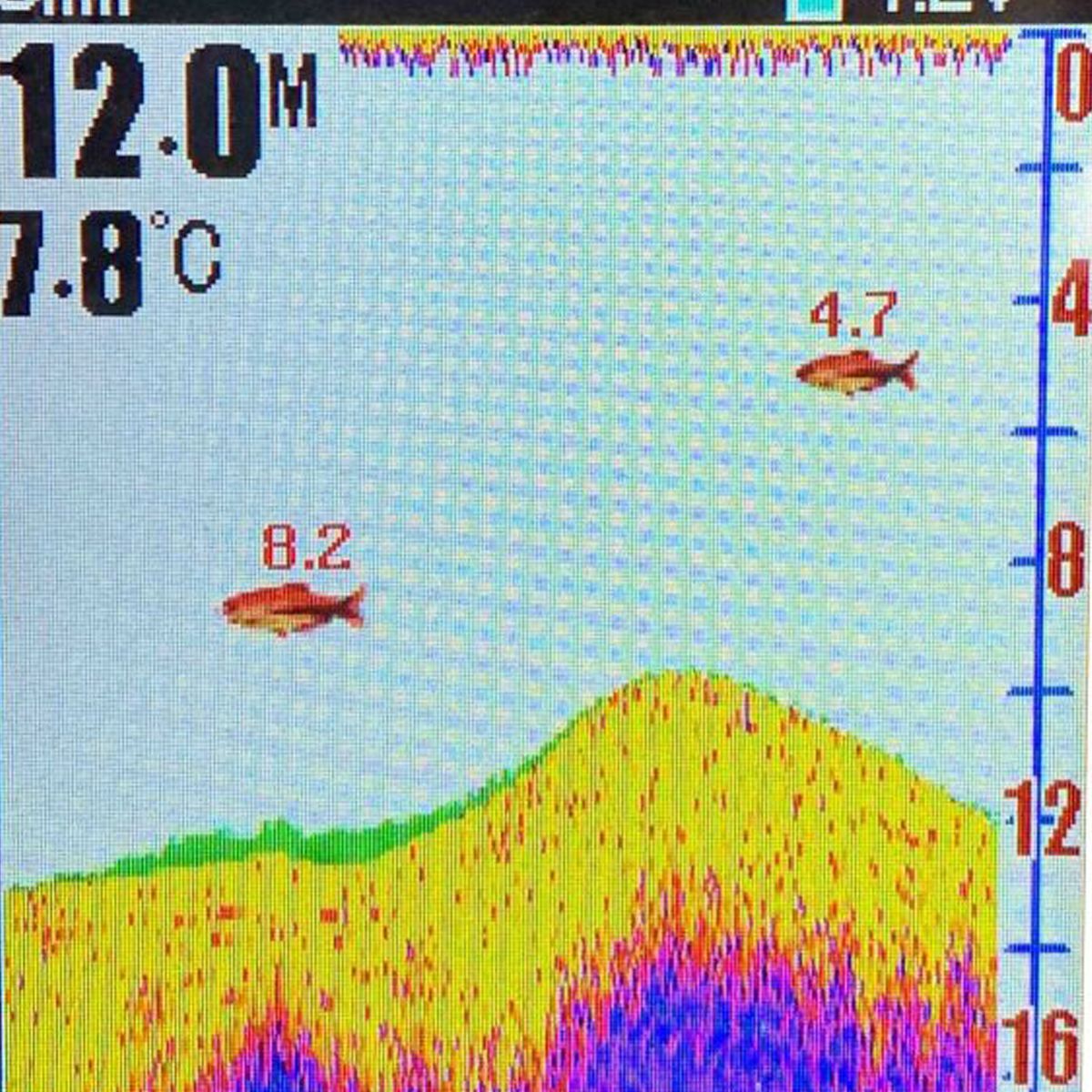 Barco Cebador Carpio C3 Sonda a Color y Gps + Bolsa de Transporte Negro - Imagen 9