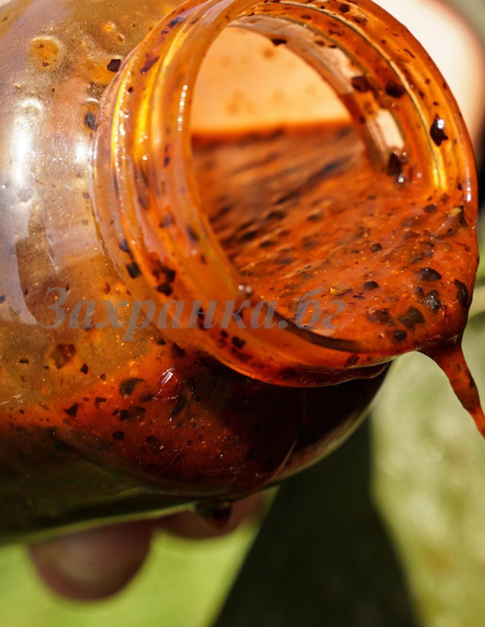 CC Moore Chilli Hemp Oil 500ml - Imagen 2