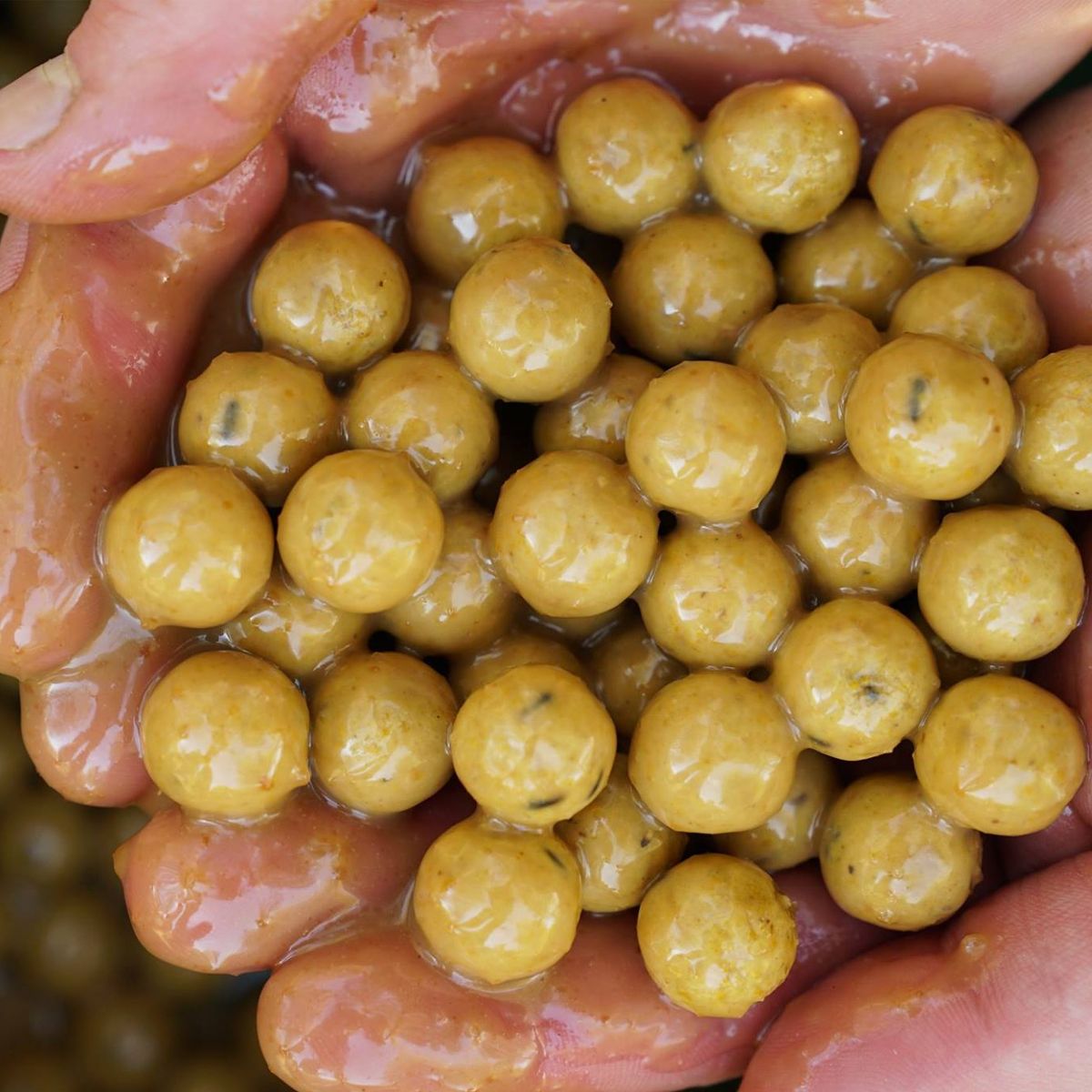 CC Moore Live System 10x15 Dumbells 1kg - Imagen 3