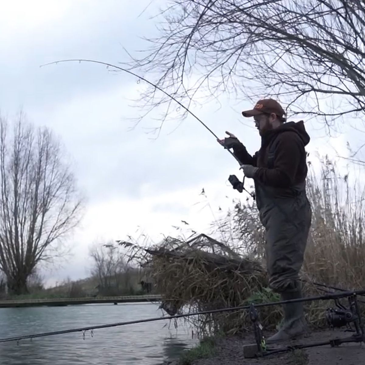 Daiwa Black Widow Extension Carp 10ft 3lb 40mm - Imagen 8