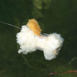 Nash Bread Bomb Small