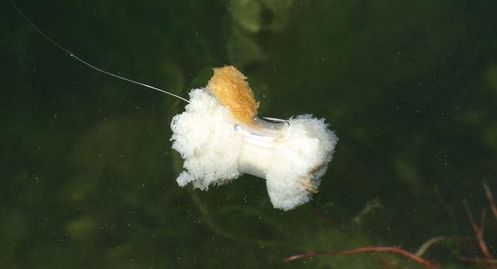 Nash Bread Bomb Small