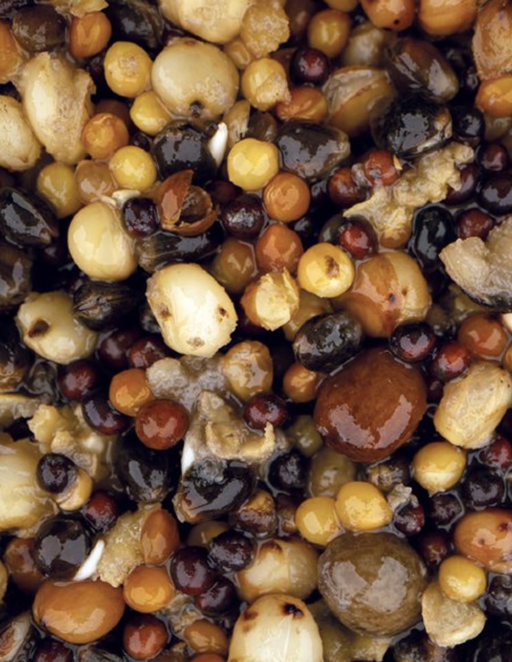 Nash Small Seed Mix 500ml - Imagen 2