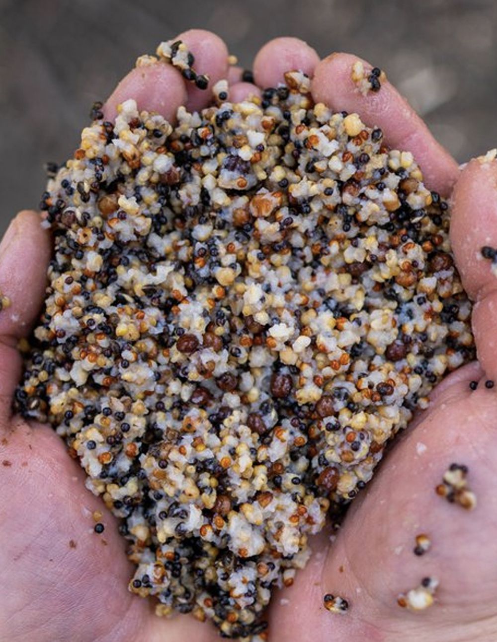 Nash Small Seed Mix 500ml - Imagen 3