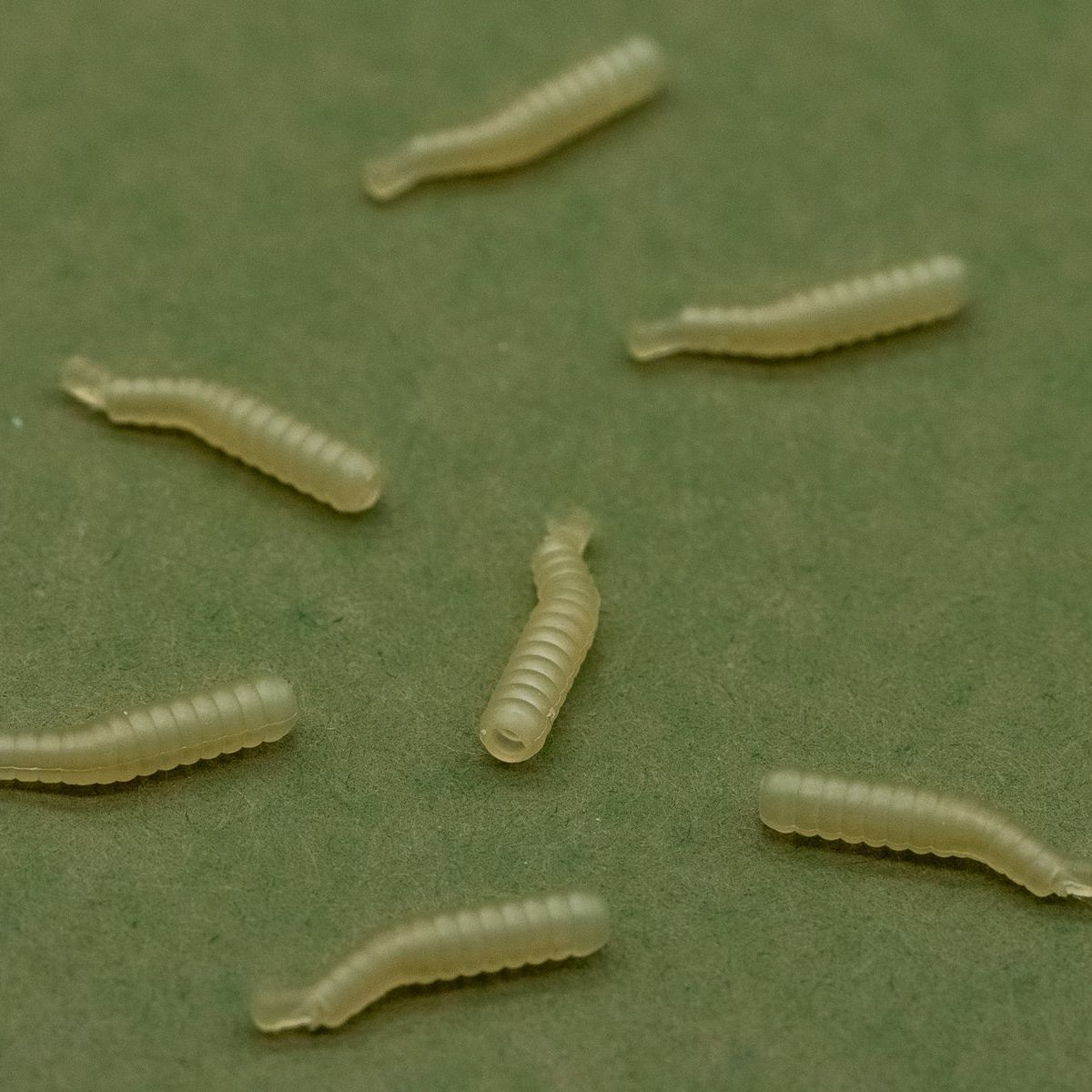 One More Cast Dazzlers Magoliner Aligner Large - Imagen 3