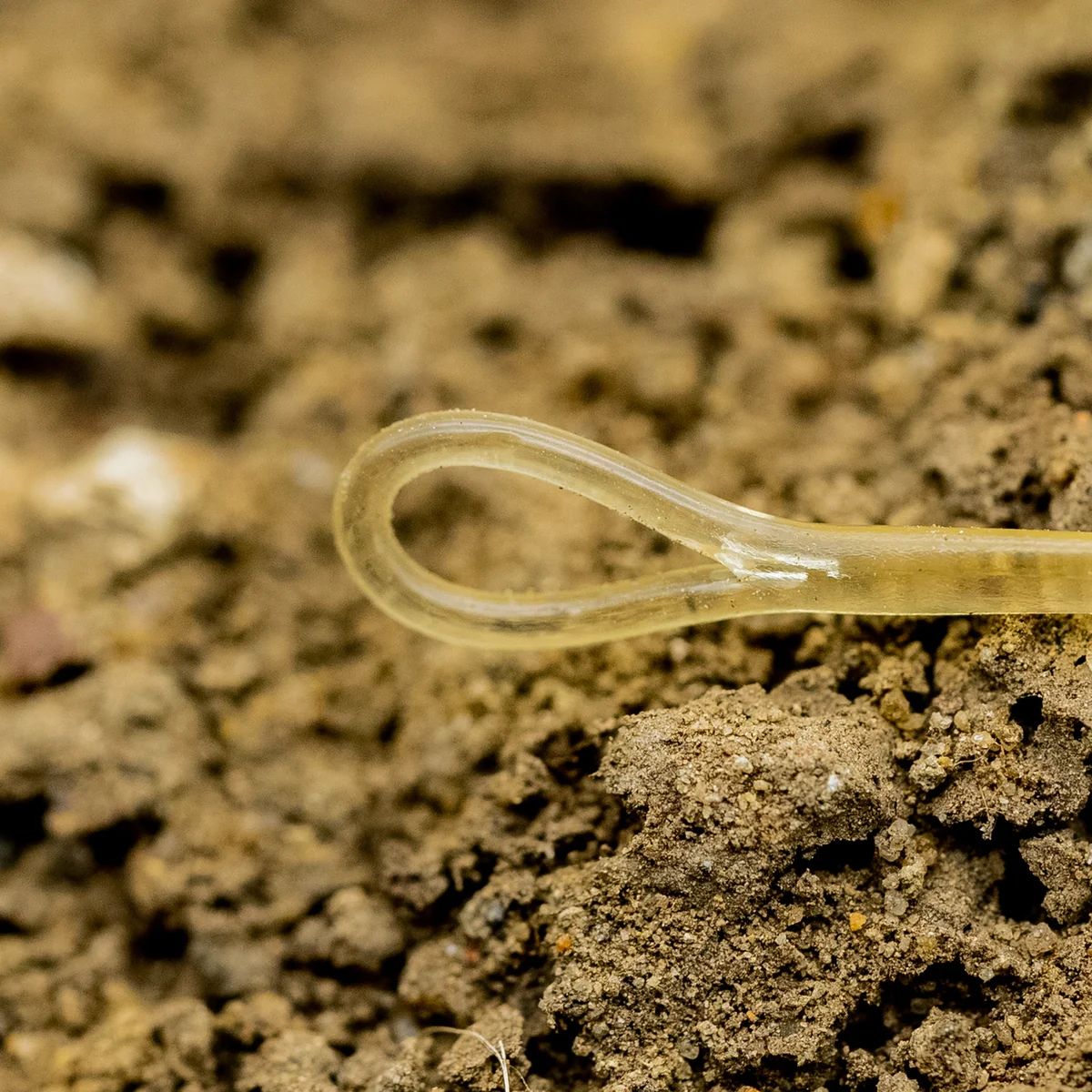 One More Cast Fuzed QC leader 40lb - Imagen 6