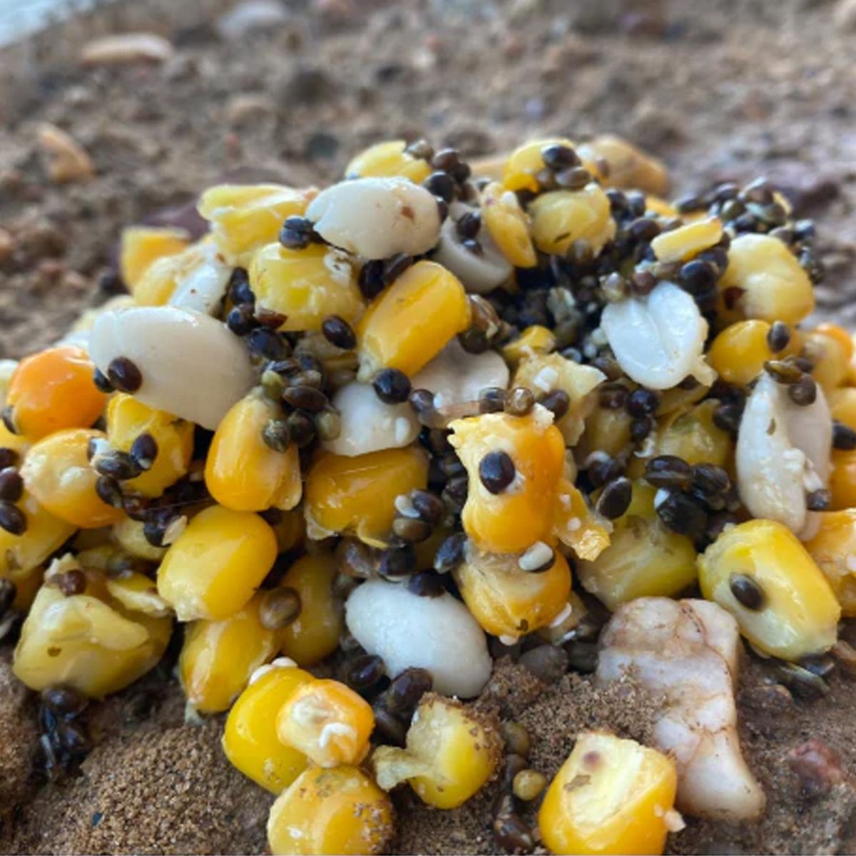 La Particles for Fishing Semilla Cocida Ultimate es un mix natural de maíz, cañamón y cacahuete, cuidadosamente seleccionado y cocido al vapor