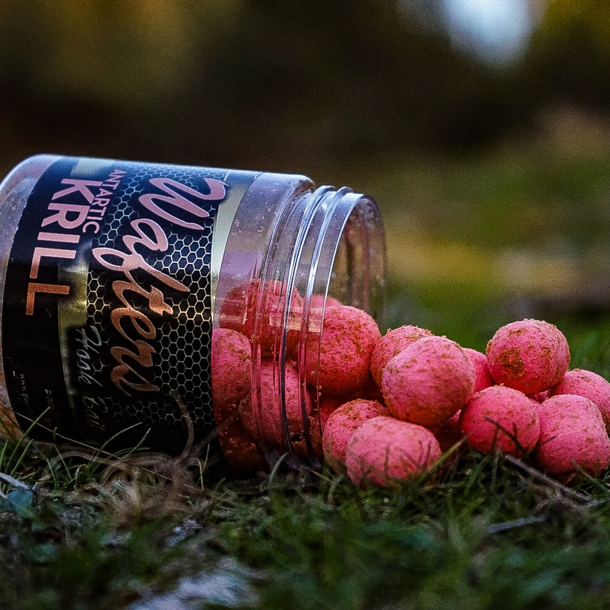 Pro Elite Baits Antartic Krill Gold Wafter HB Boilie+Dumbell 14mm 250ml - Imagen 2