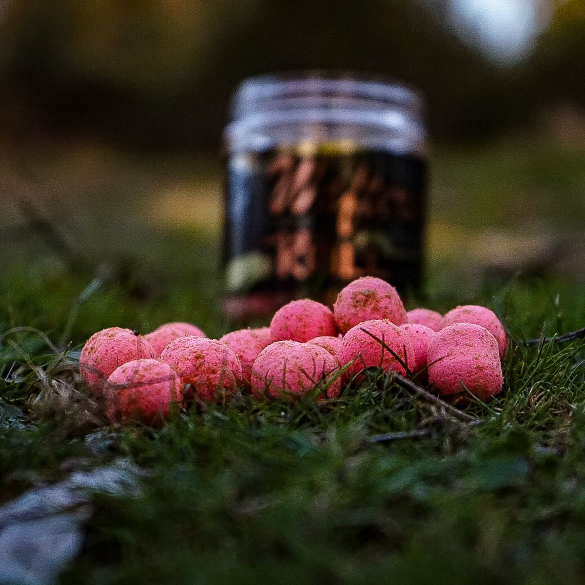 Pro Elite Baits Antartic Krill Gold Wafter HB Boilie+Dumbell 14mm 250ml - Imagen 3