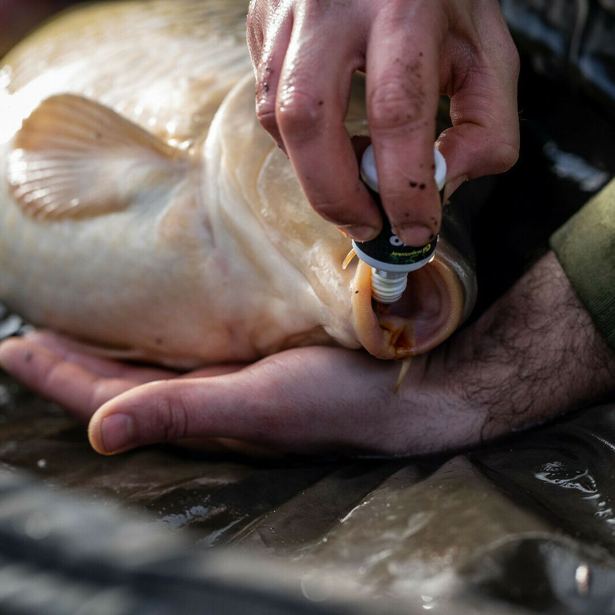 RidgeMonkey ProCare Fishcare Solution - Imagen 3