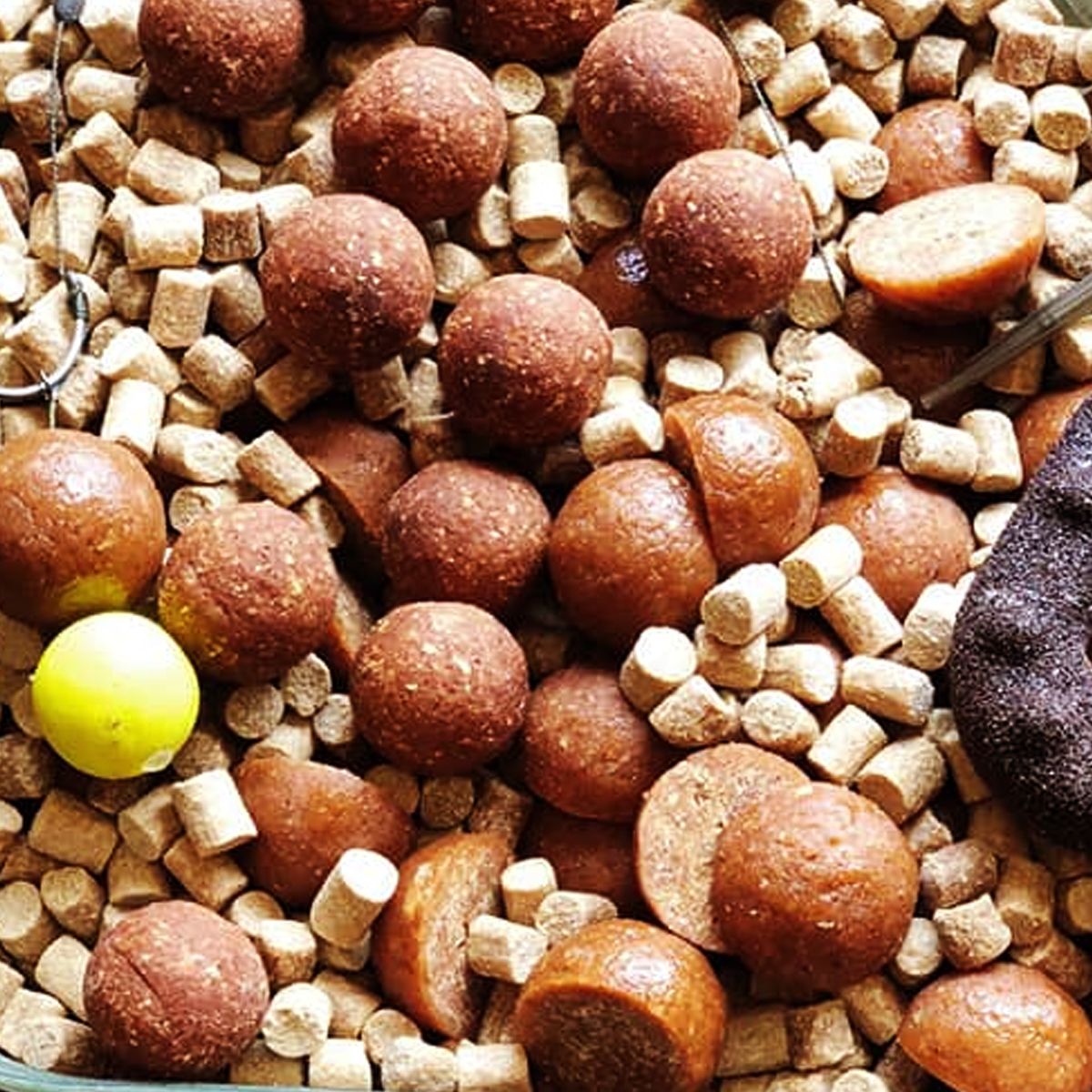 SBS Squid & Octopus Attract Betain Carp Pellets 6mm 1kg - Imagen 2