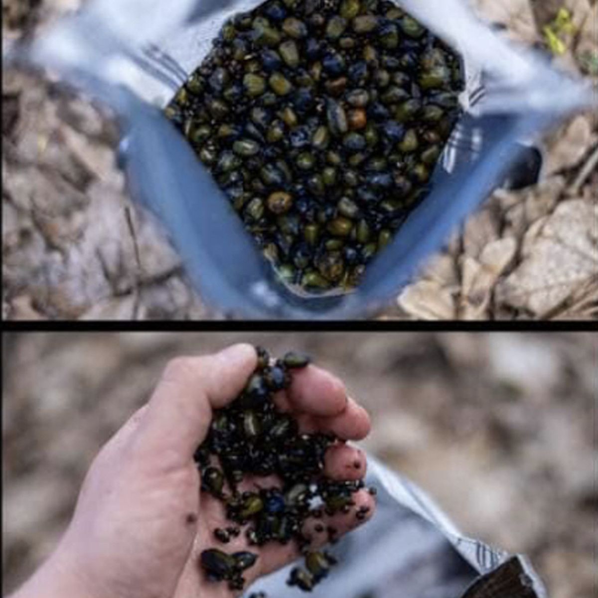 SBS Black One Particle Mix 1kg - Imagen 4