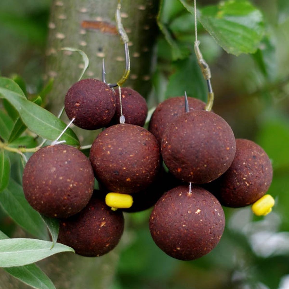 SBS EuroBase Squid & Octopus Boilies 24mm 1kg - Imagen 6