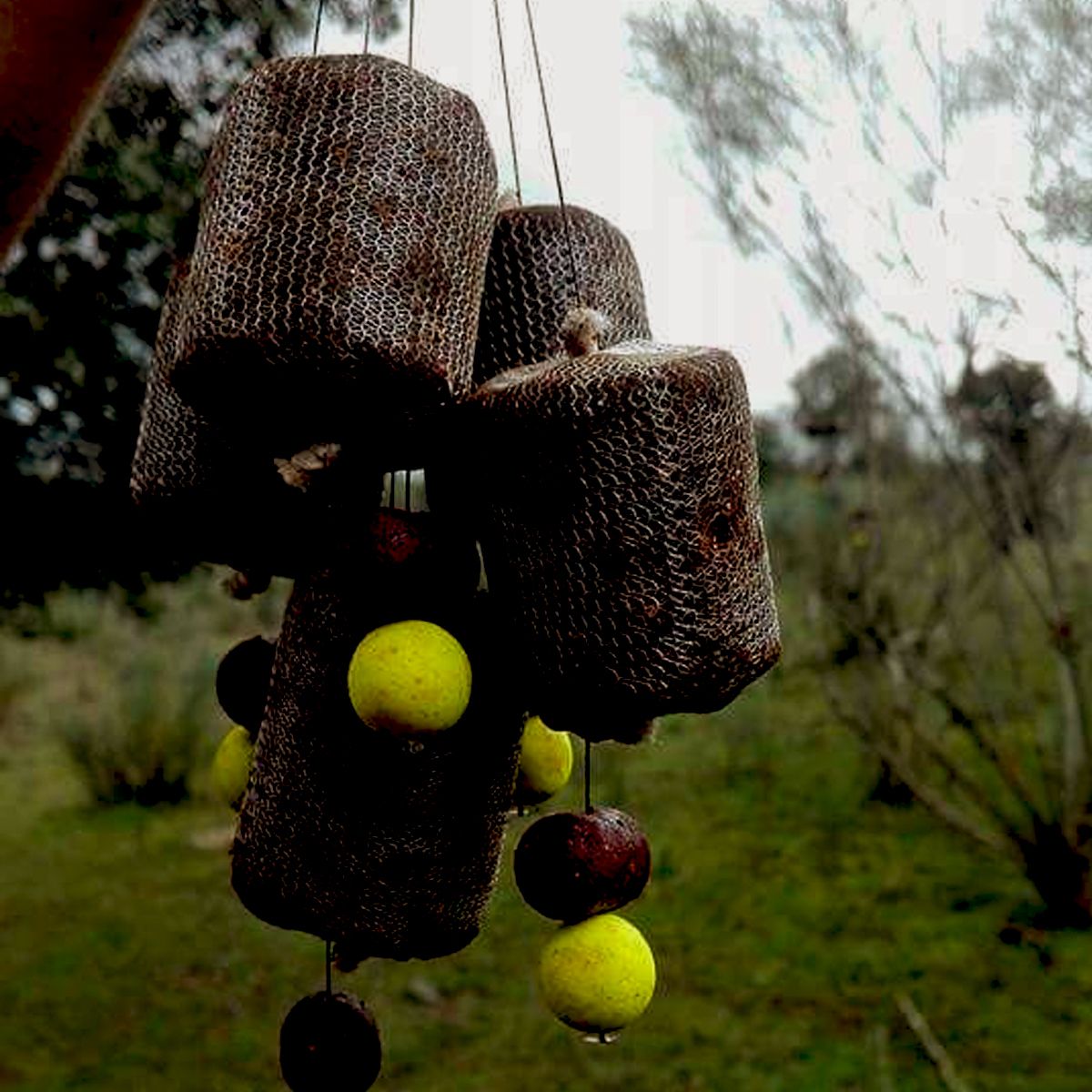 SBS CSL Hookers Glug Frankfurter Sasuage 16mm 125gr+25ml - Imagen 4