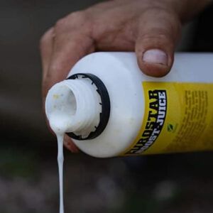 SBS Eurostar Boost Juice Garlic 300ml