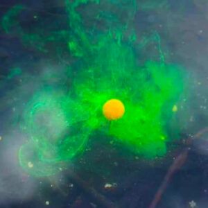 SBS Flumino Liquid Concentrate Horizontal concentrado líquido fluorescente de alta solubilidad, formulado con un elevado contenido en aminoácidos esenciales