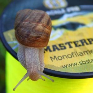 SBS Masterpiece Mono Line Yellow