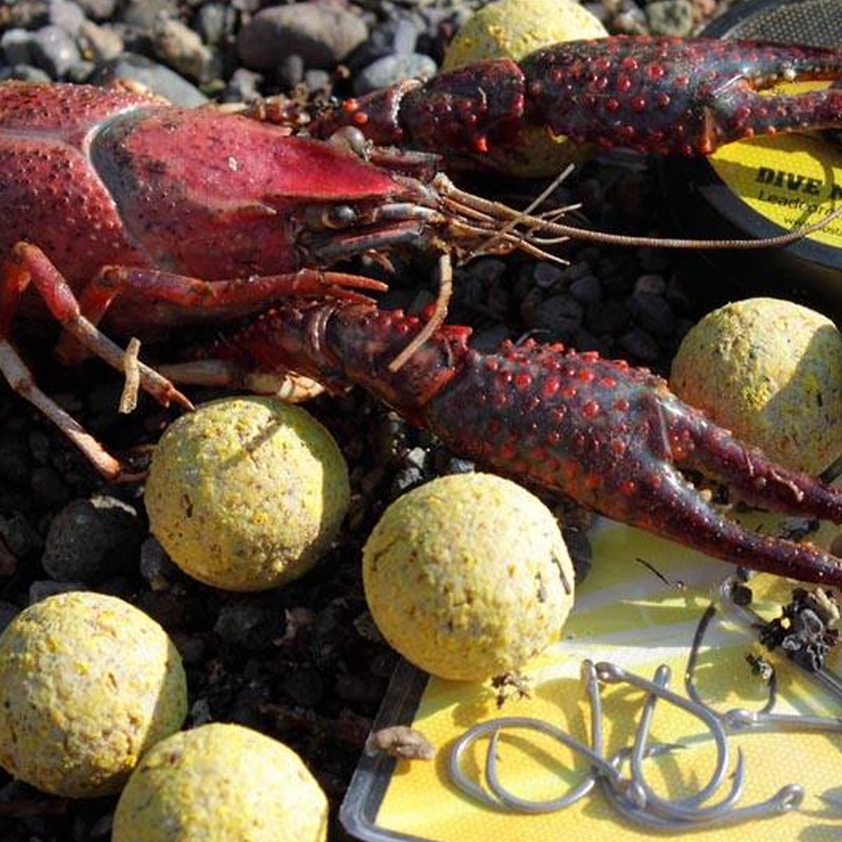 SBS C1 Premium Boilies 20mm 3kg - Imagen 2