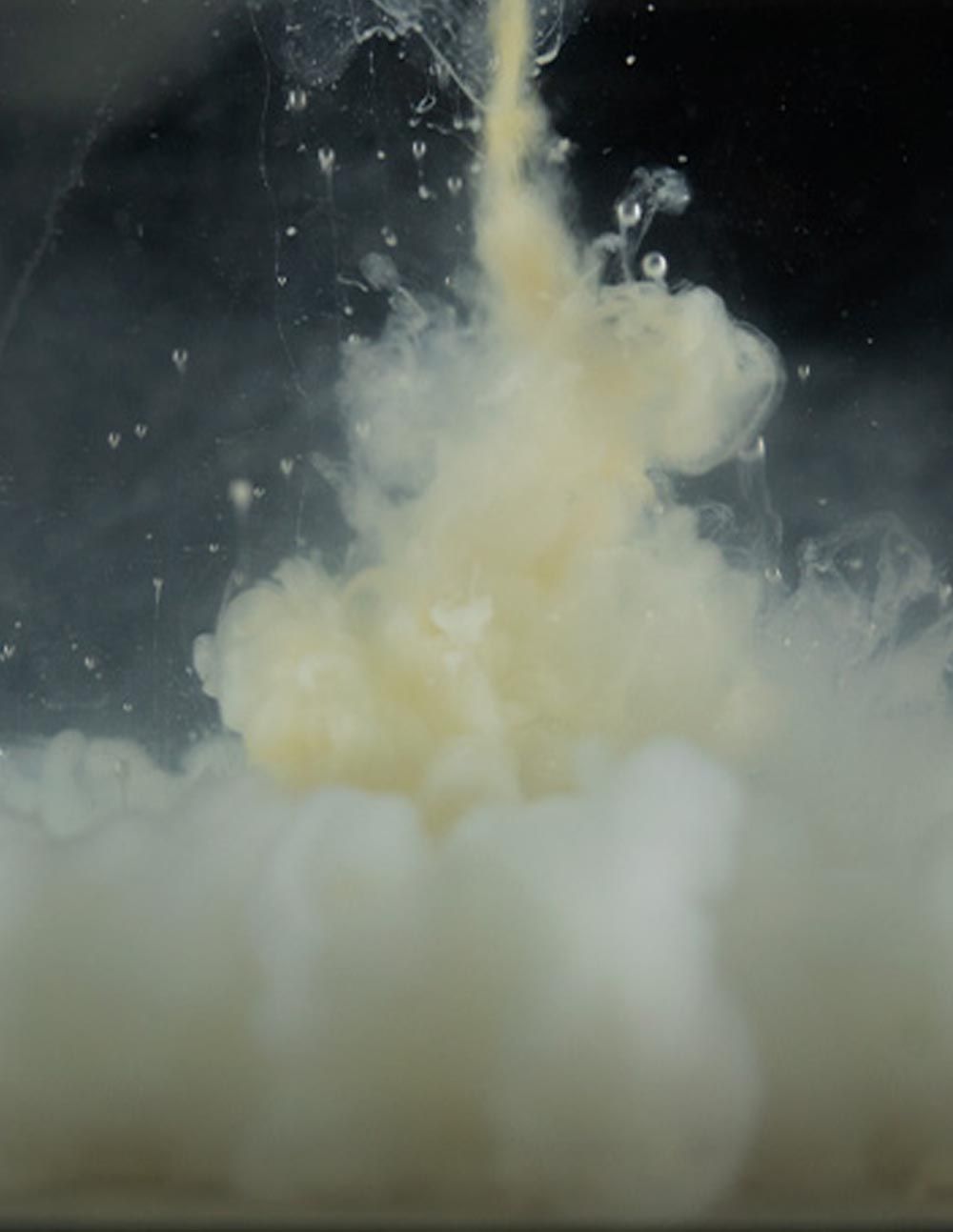 Sticky Baits Cloudy Manilla Liquid 1ltr - Imagen 3