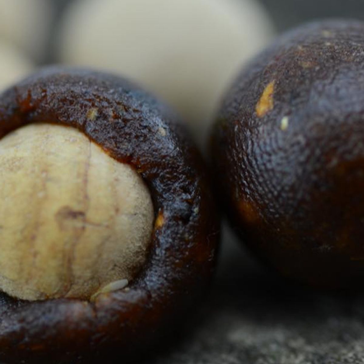 Thinking Anglers Cork Balls 13mm - Imagen 2