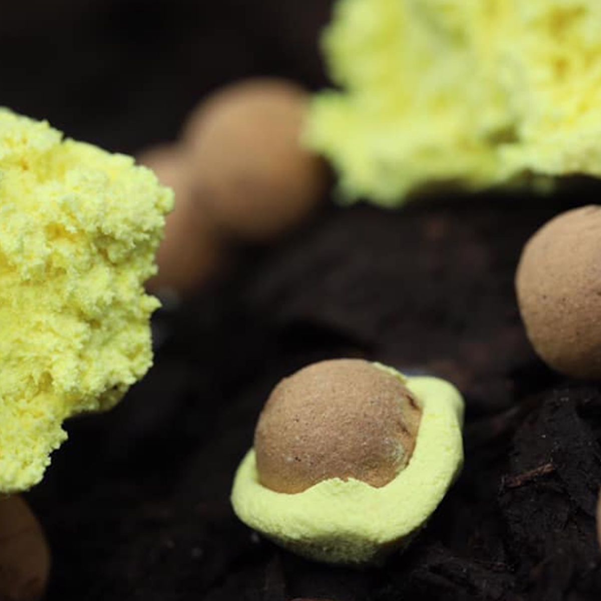 Thinking Anglers Cork Balls 13mm - Imagen 3