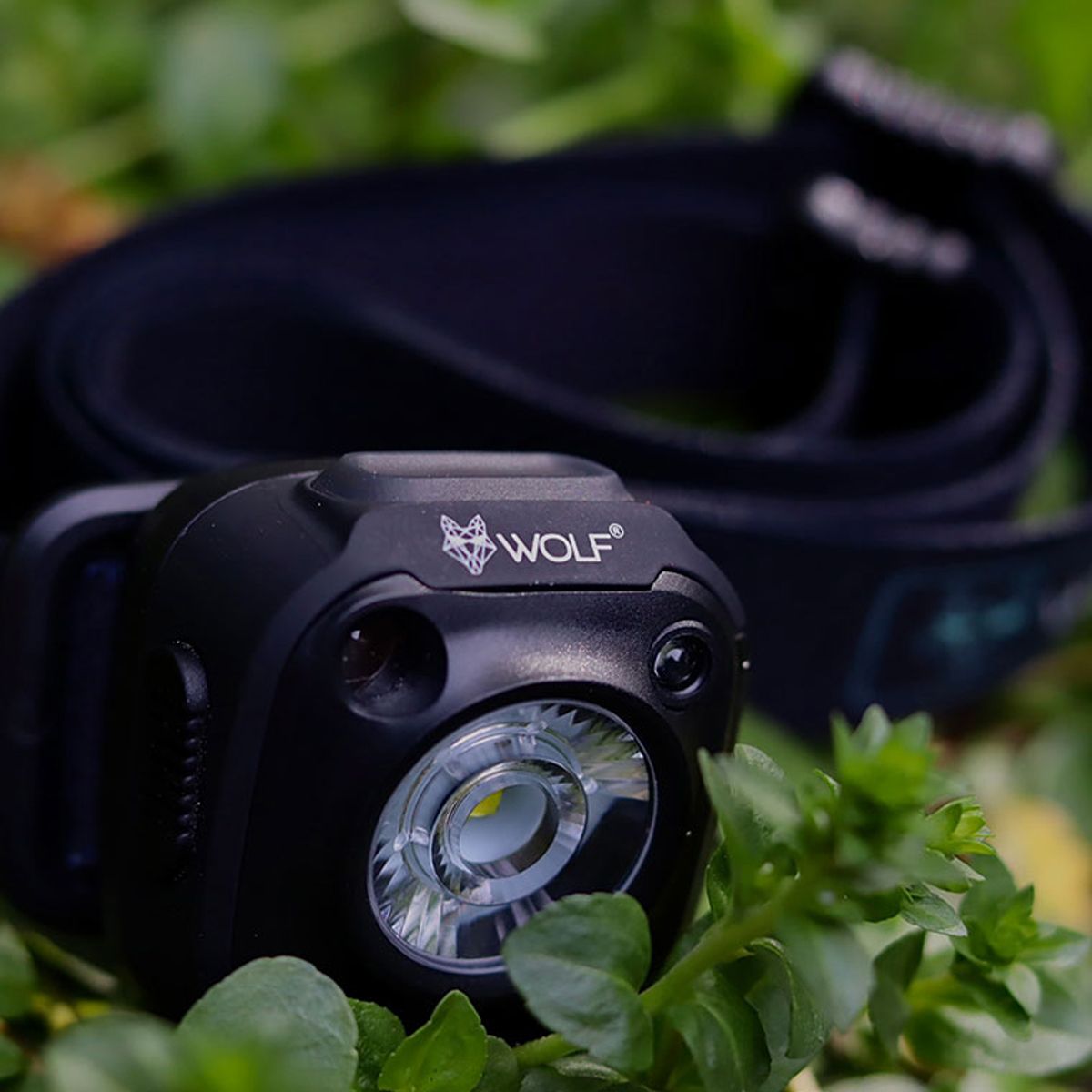 Wolf Frontal Cube 200 - Imagen 2