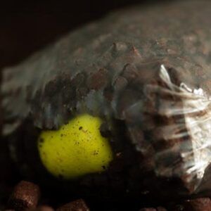 Sticky Baits Pineapple N Butyric Bait Wafters 130gr