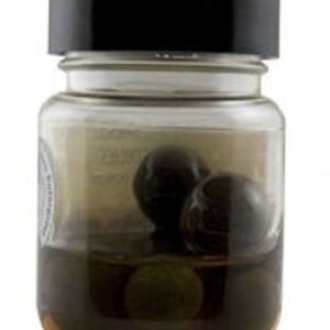 Enterprise Tackle Eternal Boilie Marron Sabor Cangrejo & Ajo formulados para penetrar profundamente en nuestros cebos de imitación.