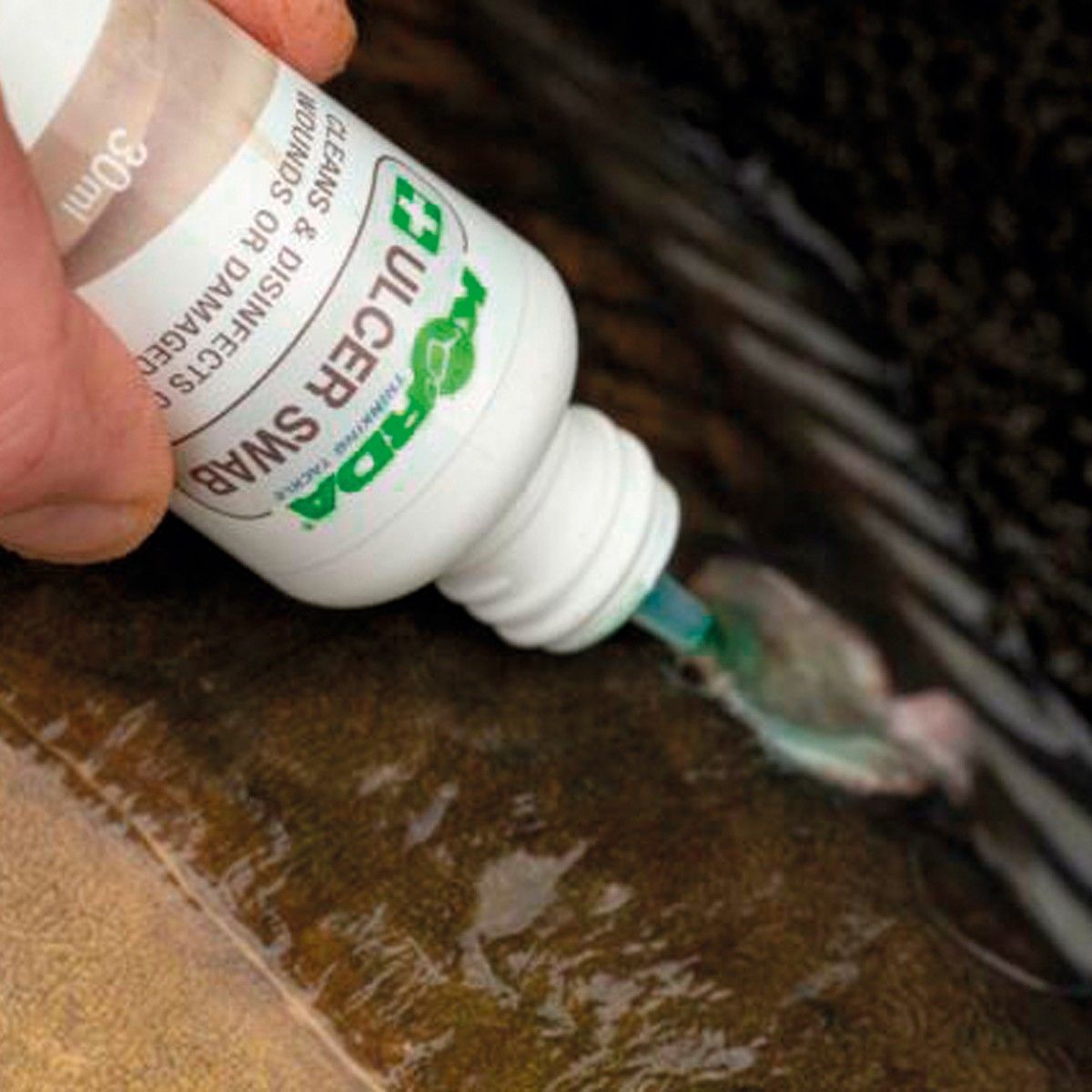 Korda Carp Care Kit - Imagen 2