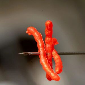 One More Cast Bloodliner Tippers han sido diseñados para imitar de forma realista uno de los alimentos más codiciados por los peces