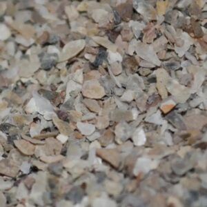 Massive Baits Fine Oystershell Crushed son el aliado perfecto para potenciar tus boilies de carpfishing,una auténtica bomba para atraer carpas.