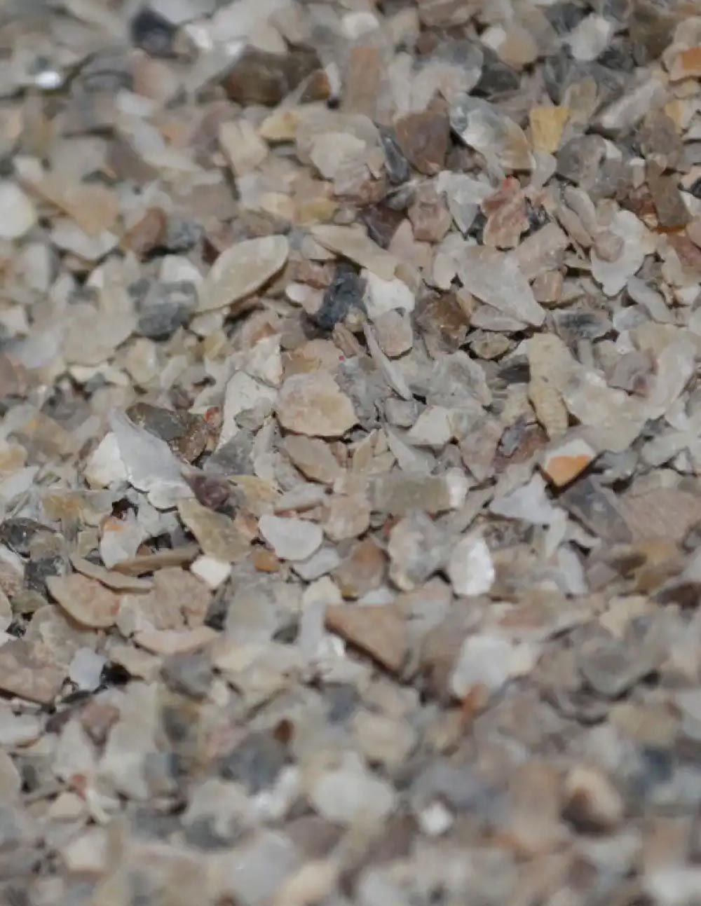 Massive Baits Fine Oystershell Crushed son el aliado perfecto para potenciar tus boilies de carpfishing,una auténtica bomba para atraer carpas.