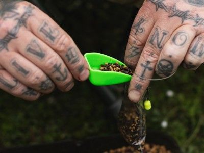 Korda - Solidz Scoop - Imagen 2