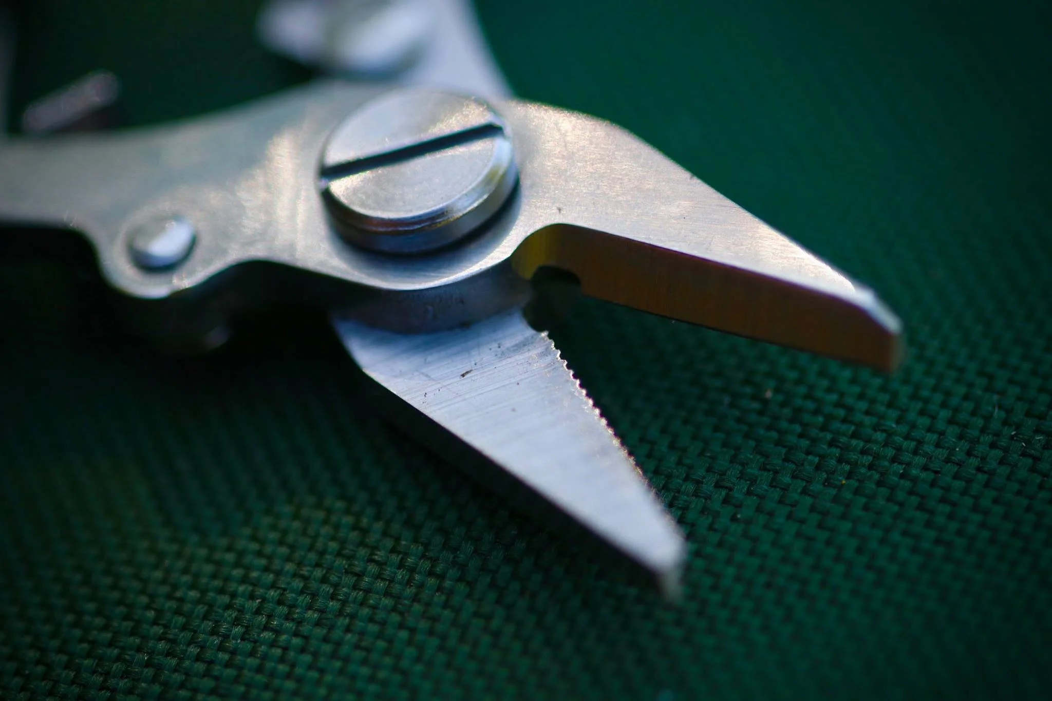 Katran Tijeras (Acero Inoxidable) - Imagen 5