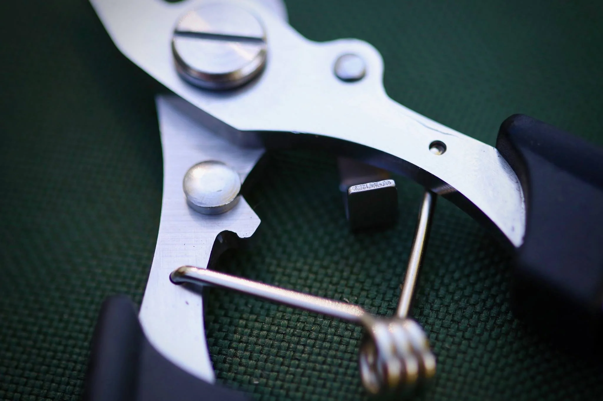 Katran Tijeras (Acero Inoxidable) - Imagen 8