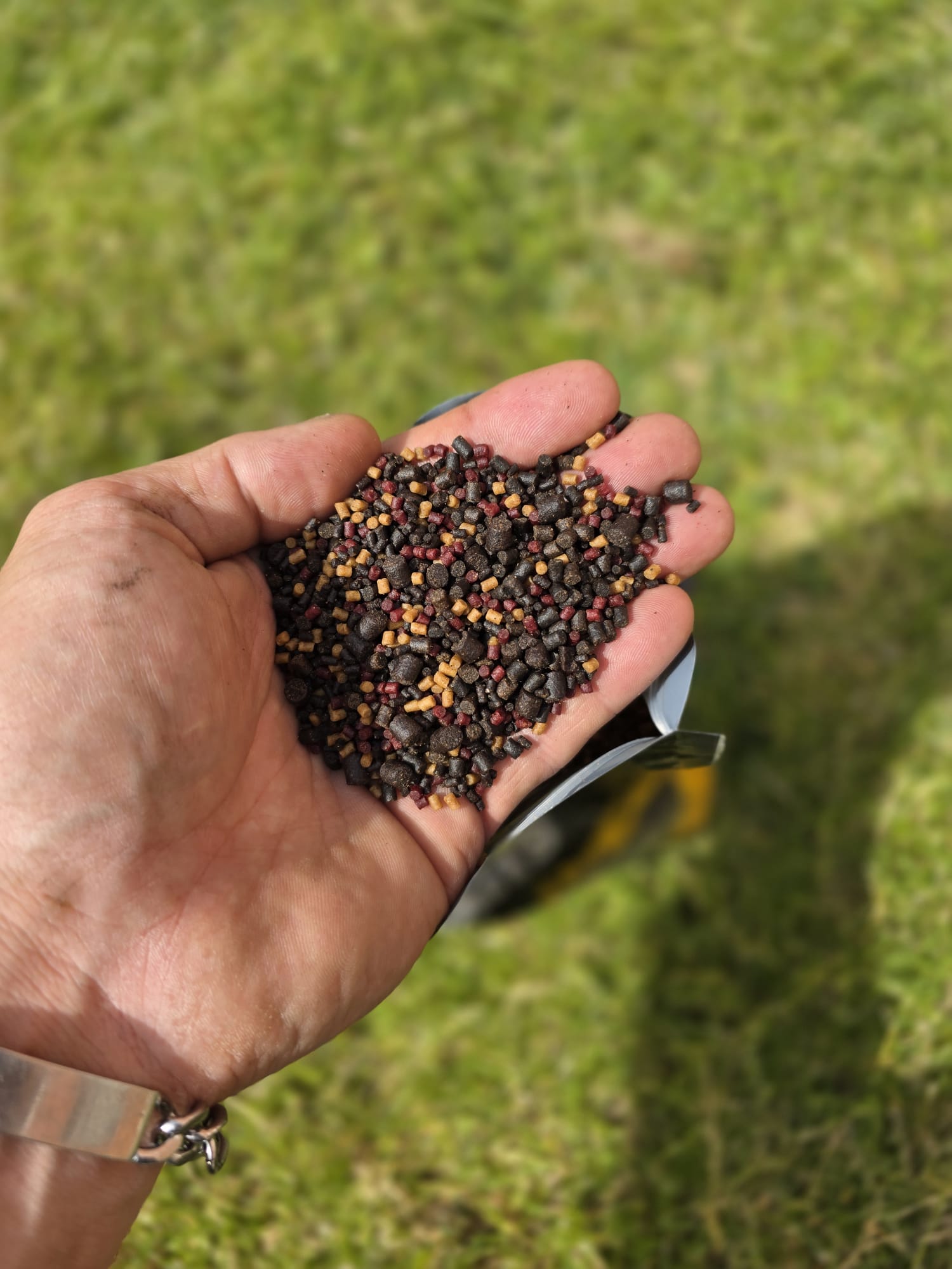 Bucovina Pellet Carp Baits Reteta Succesului 2,3,4,5,6mm - Imagen 3