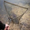 Fox Sacadera"Eos-X Landing Net Mesh 42"