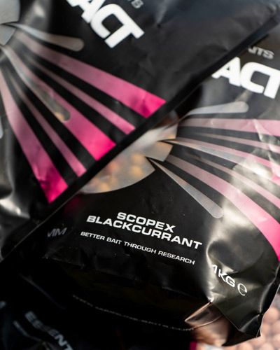 Mainline Hi Impact Scopex Blackcurrant