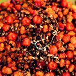 Dynamite Baits Frenzied Krill Pulses & Particles Jar 2.5l - Imagen 3