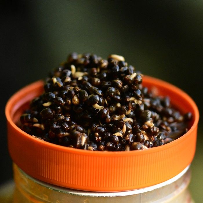 Dynamite Baits Frenzied The Source Hempseed Jar 2.5l - Imagen 2