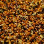 Dynamite Baits Frenzied Mixed Particles Jar 2.5l - Imagen 4