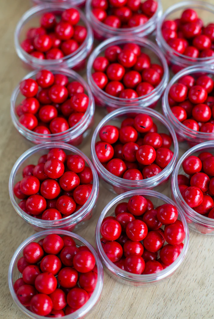 Monkey Climber Red Spice pop ups Deep red 12mm - Imagen 3