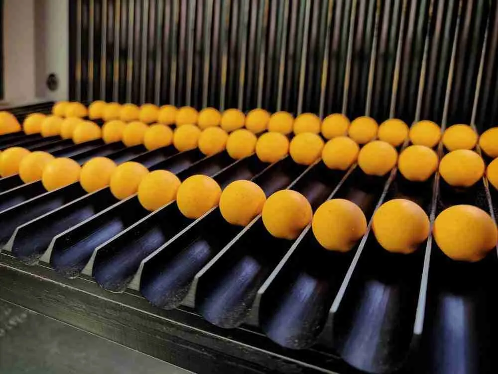 Forgotten Flavours Fireball pop-ups 10mm - Imagen 3