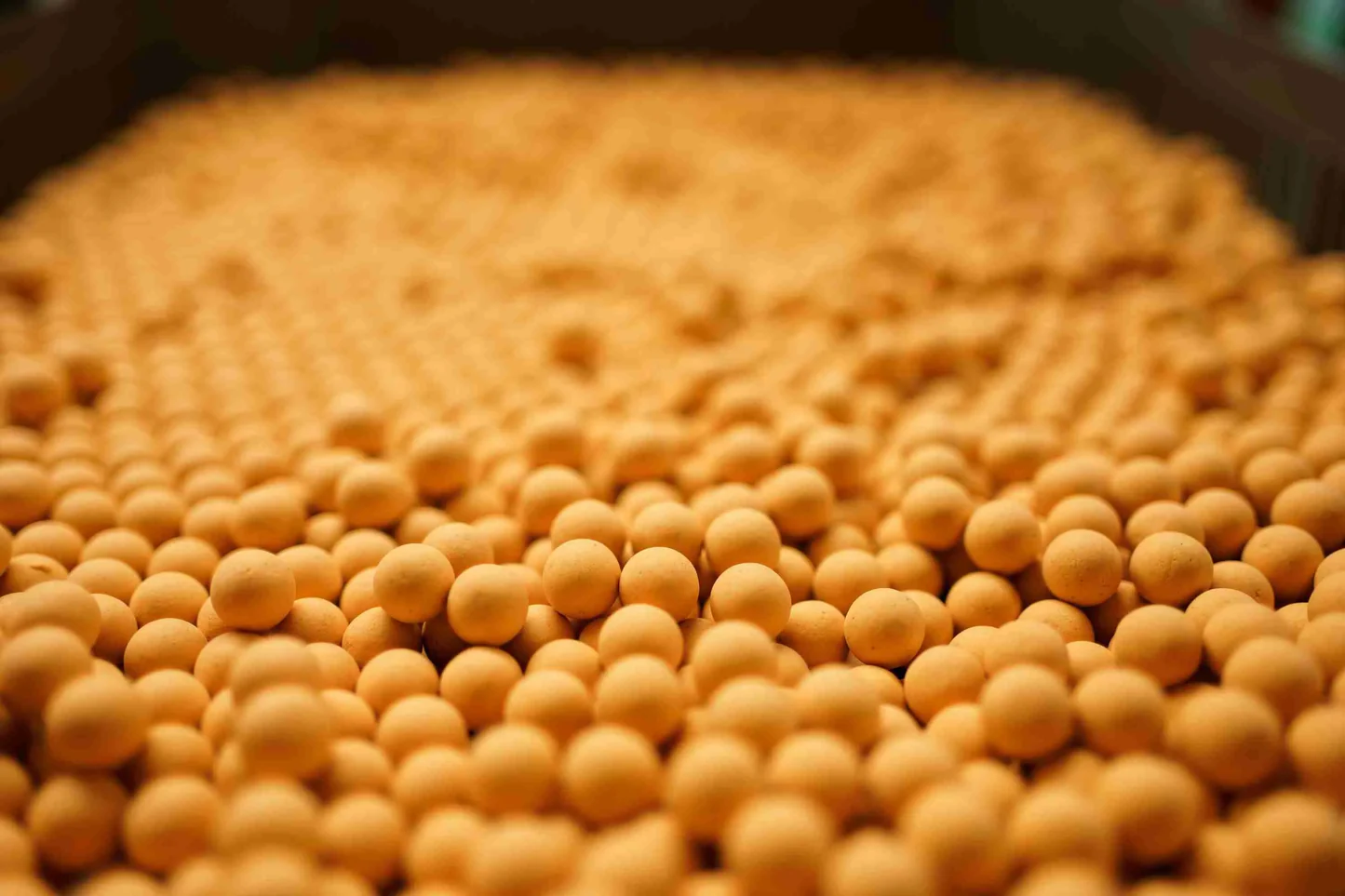 Forgotten Flavours Fireball pop-ups 10mm - Imagen 2