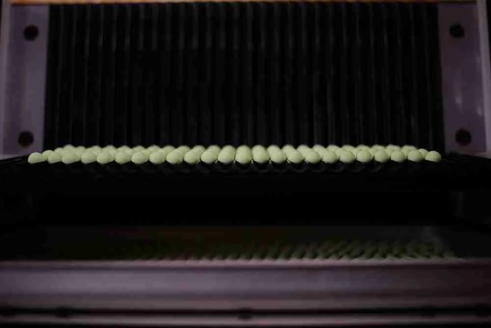 Forgotten Flavours Green Zing pop-ups 15mm - Imagen 3