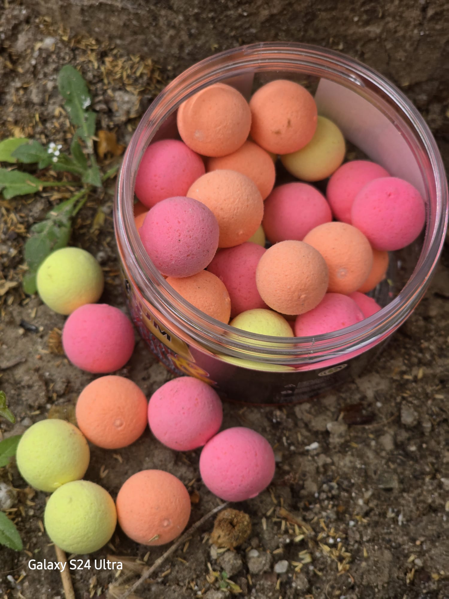 Krom Quality Pop ups Plakton Krill - Imagen 2