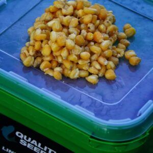 Quality seeds Maiz Amarillo Cubo 6kg