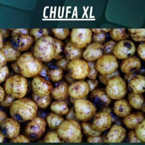 Quality seeds Chufa Xl 1kg